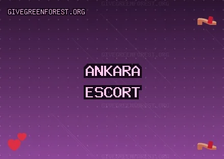 Ankara Escort: Akyurt Escort, Kahramankazan Escort, Beypazarı Escort