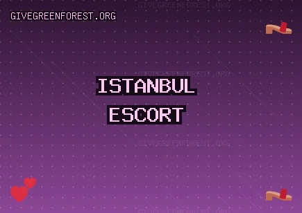 İstanbul Escort: Kadıköy Escort, Bahçelievler Escort, Pendik Escort