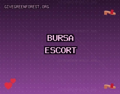 Bursa Escort: Osmangazi Escort, Kestel Escort, Gemlik Escort