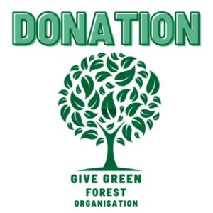 Donate-1